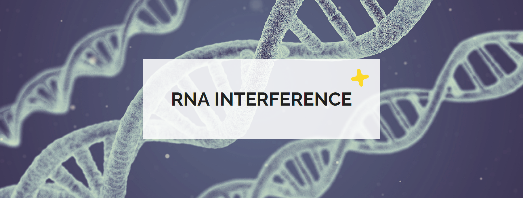 RNA interference
