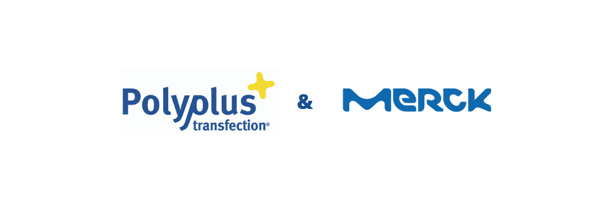 Polyplus-transfection / Merck license agreement