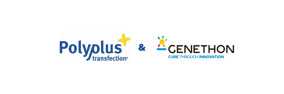 Généthon / Polyplus-transfection team for DMD gene therapies