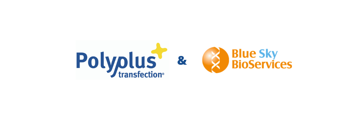 Polyplus-transfection / Blue Sky BioServices license agreement
