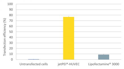 jetPEI-HUVEC - Competitor comparison 2018 - Polyplus-transfection