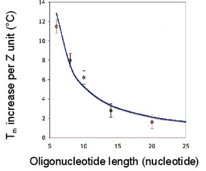 Tm vs ZNA Oligonucleotide length