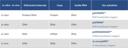 Polyplus-transfection - Table CRISPR reagents - Polyplus-transfection