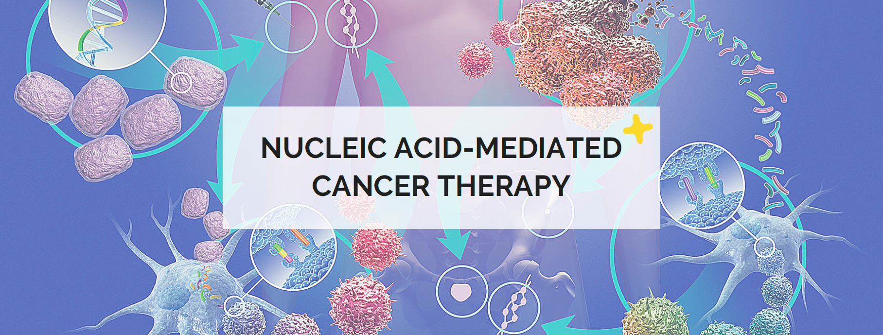 Nucleic acid-mediated cancer therapy