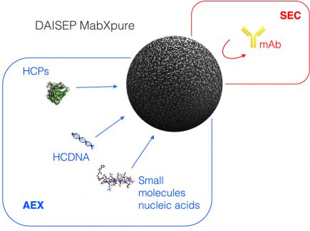 Figure 1: Multimodal depletion mechanisms of DAISEP MabXpure™.
