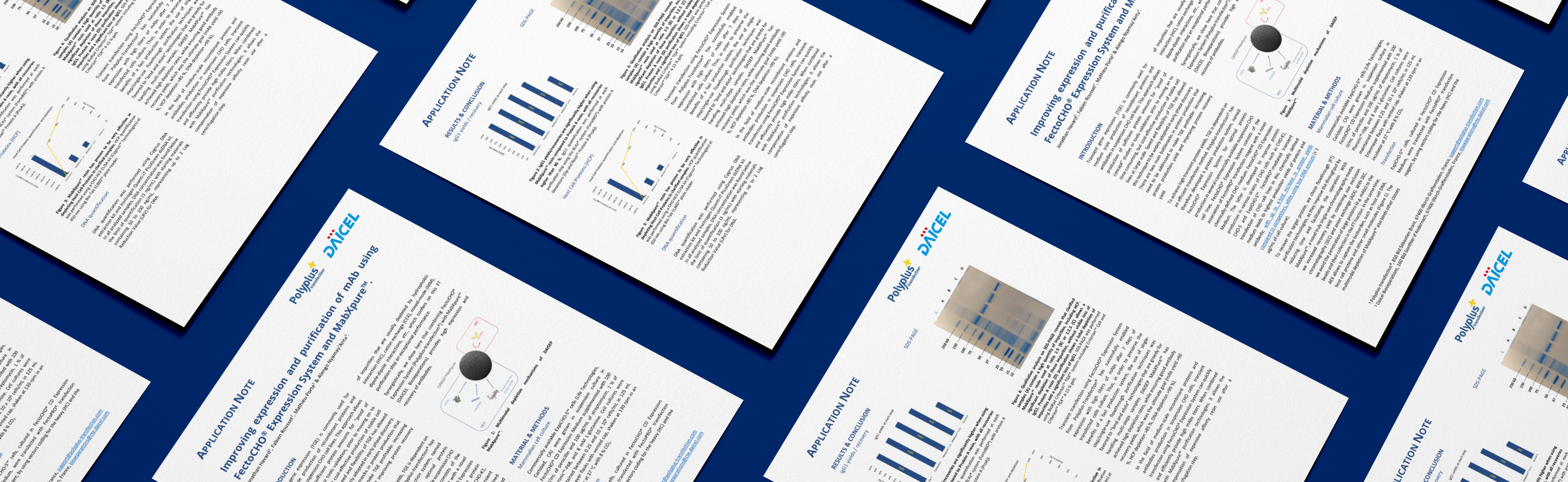 Improving expression and purification of mAb using FectoCHO® Expression System and MabXpure™.