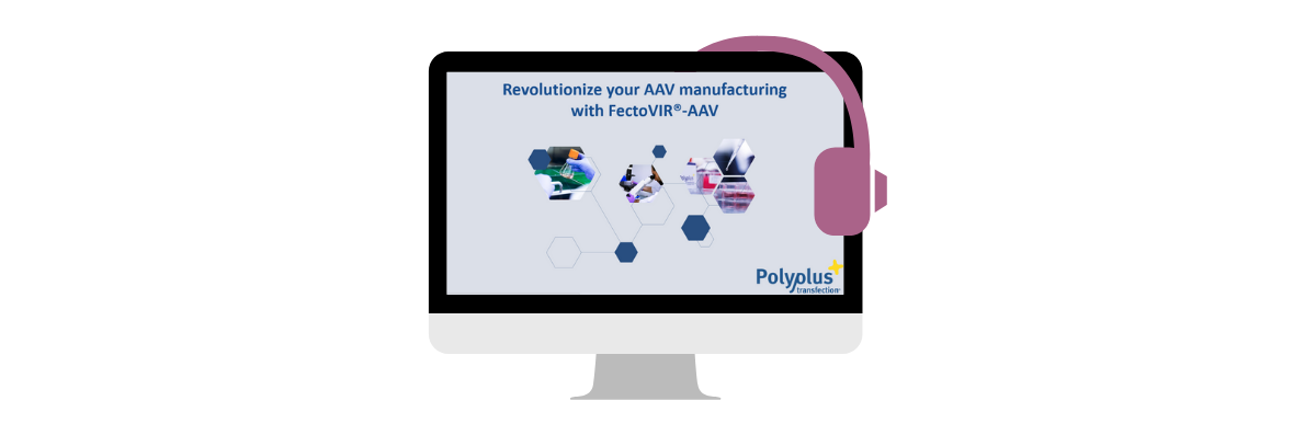 Next-generation transfection reagent for large scale AAV manufacturing