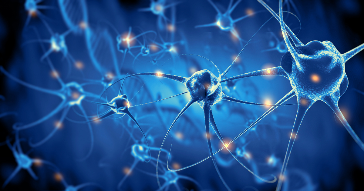 Improved transfection efficiency of neural cells using jetOPTIMUS® and jetMESSENGER®