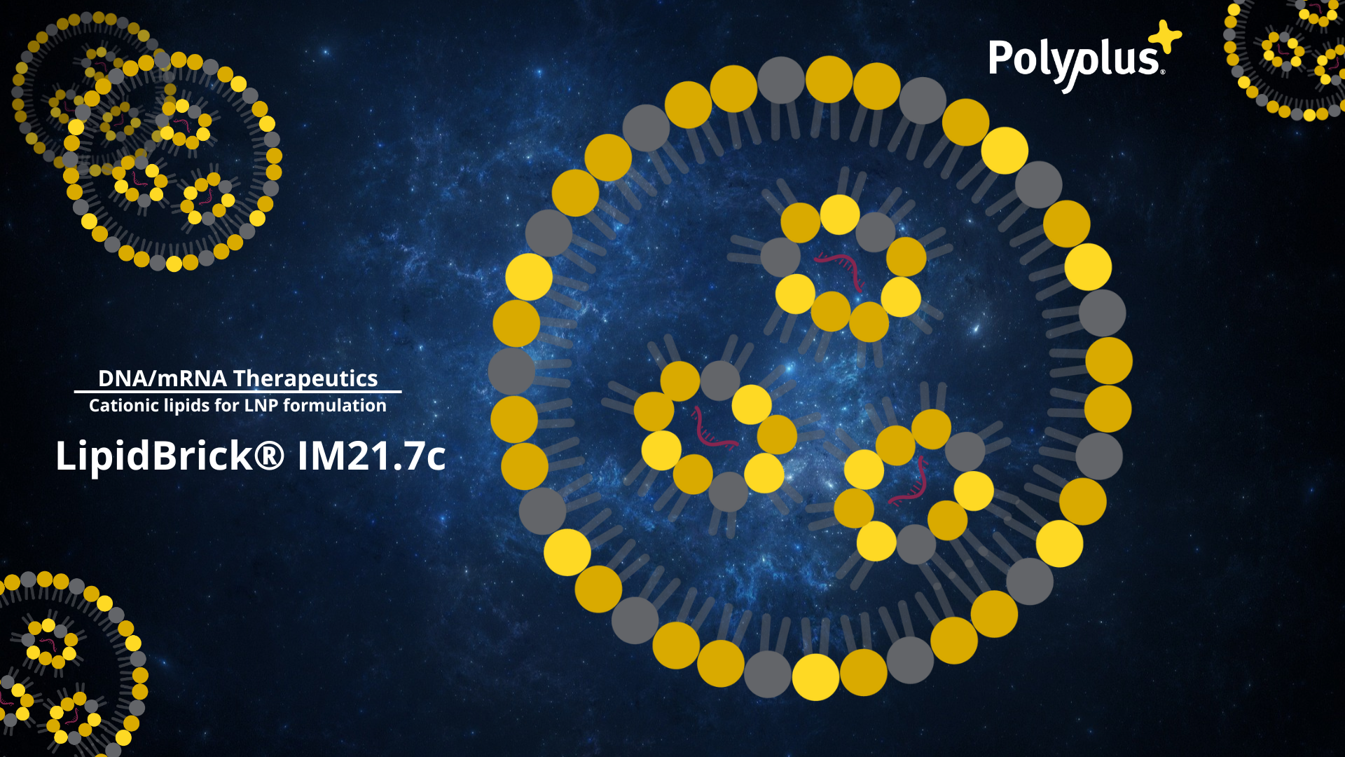Polyplus Introduces LipidBrick® for LNP Formulation in mRNA Therapeutics