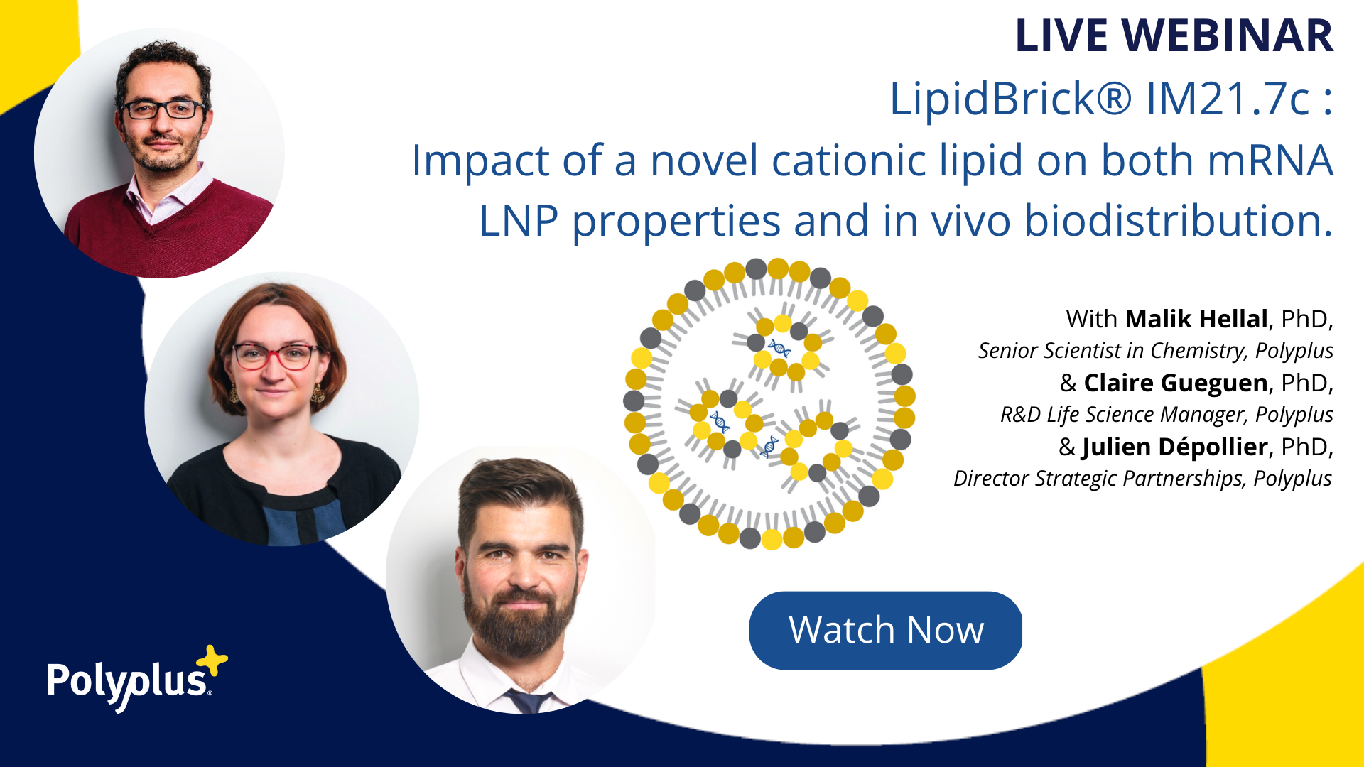 Webinar replay: LipidBrick® IM21.7c novel cationic lipid for LNP formulation