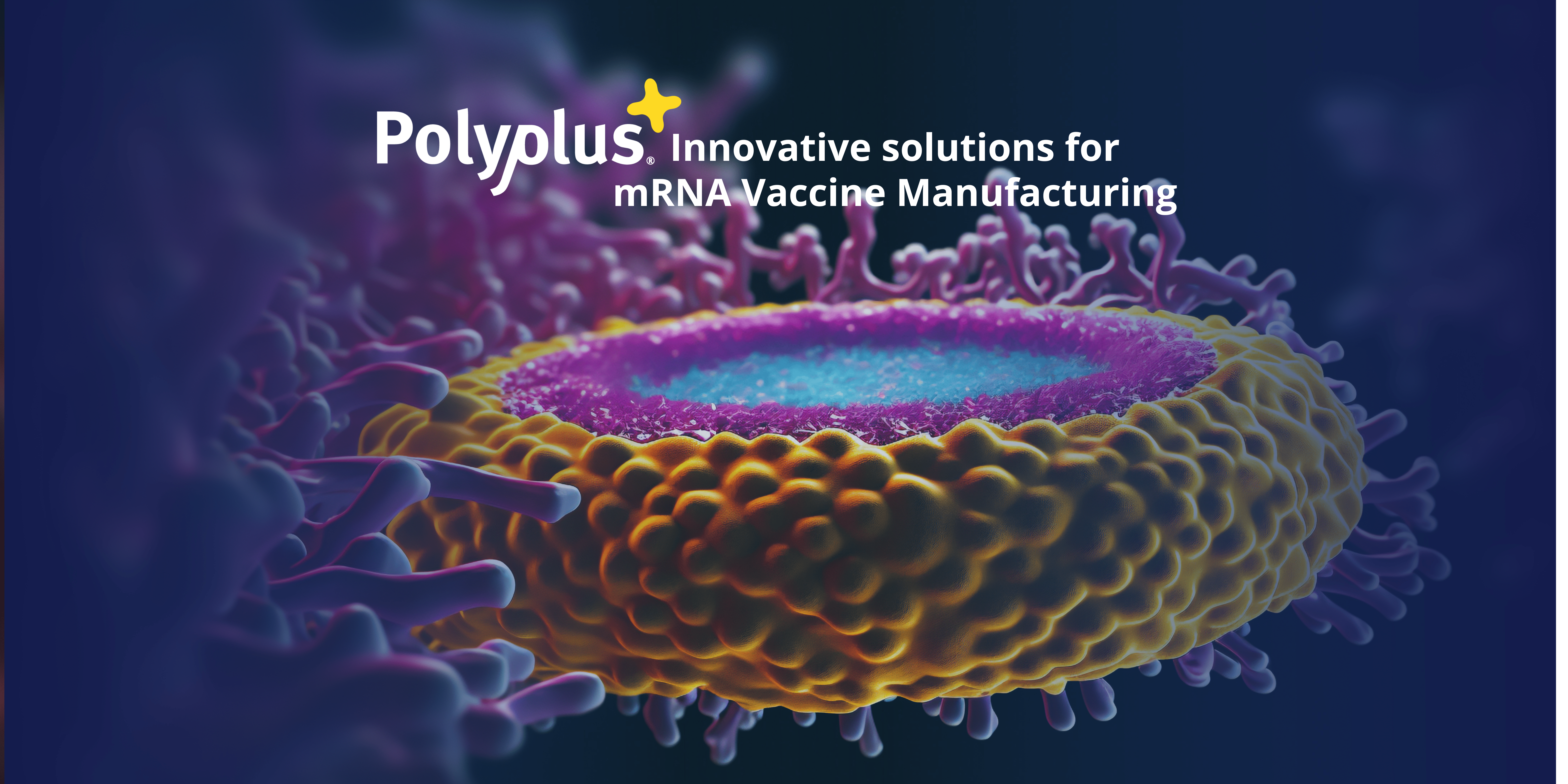 Innovative Solutions for mRNA Vaccine Manufacturing: A Practical Guide Using Polyplus LipidBrick® and Services