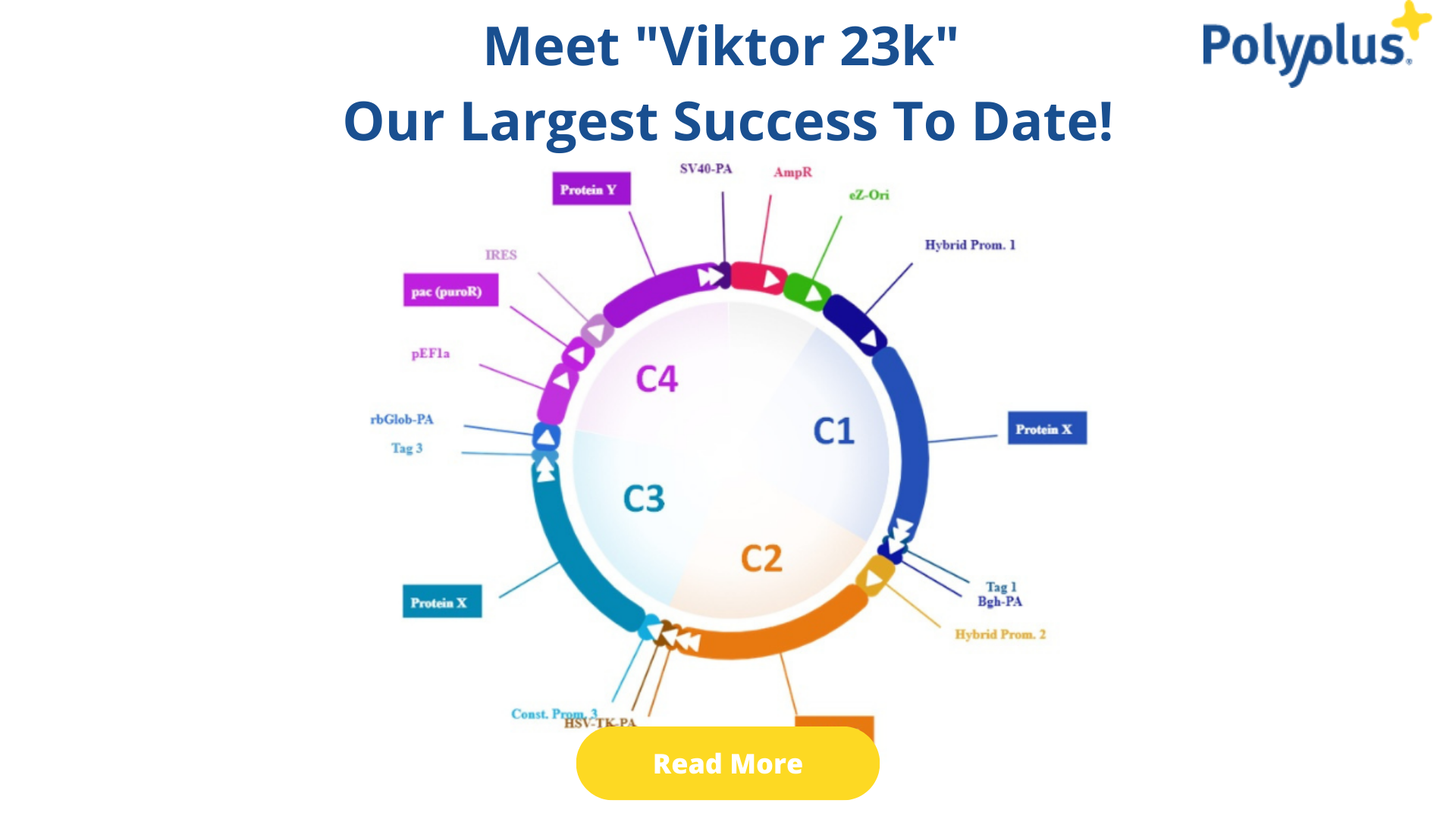 Meet “Viktor 23k” Our Largest Success To Date!
