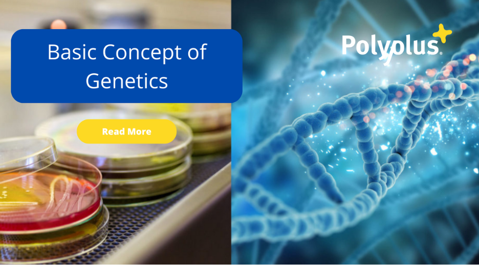Basic Concepts of Genetics
