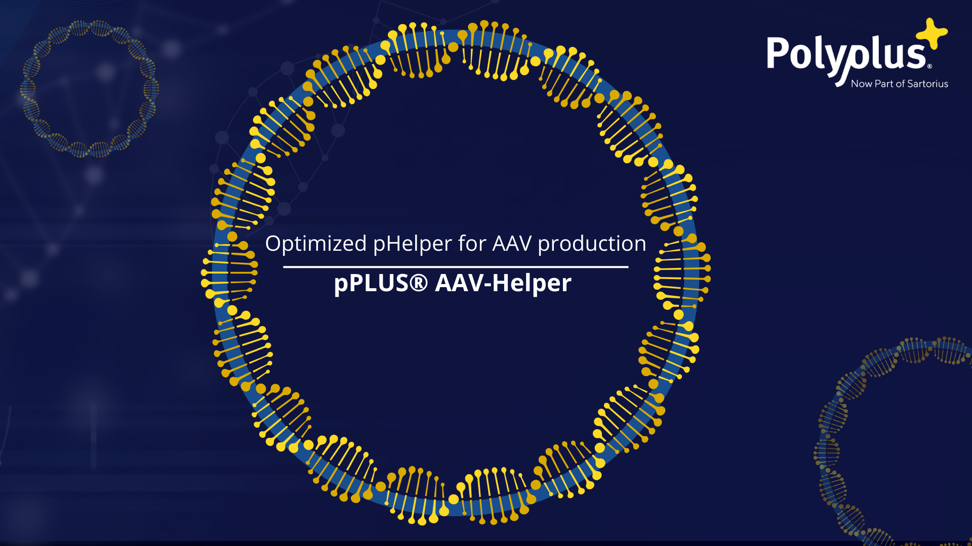 Polyplus Launches Off-the-Shelf pPLUS® AAV-Helper Plasmid for enhanced AAV Production