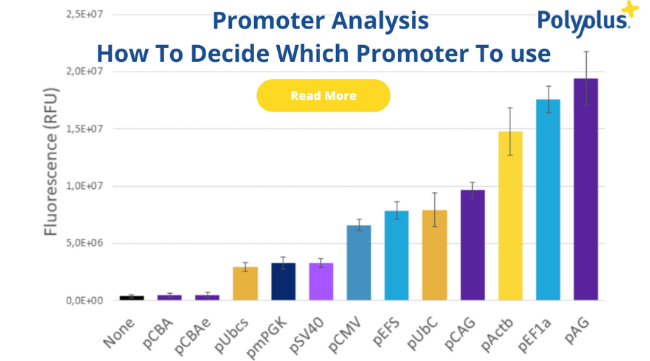 Promoter Analysis | How to Decide Which Promoter To Use?