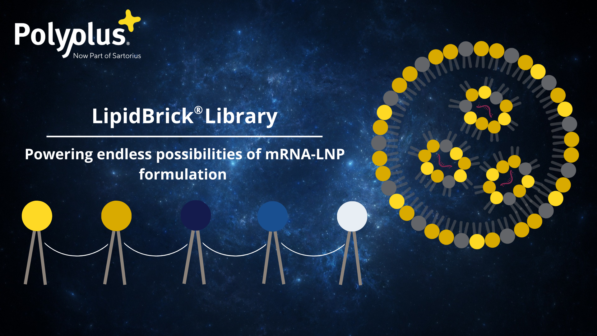 Polyplus Expands LipidBrick® Library to Optimize LNP Formulation for mRNA Therapeutics