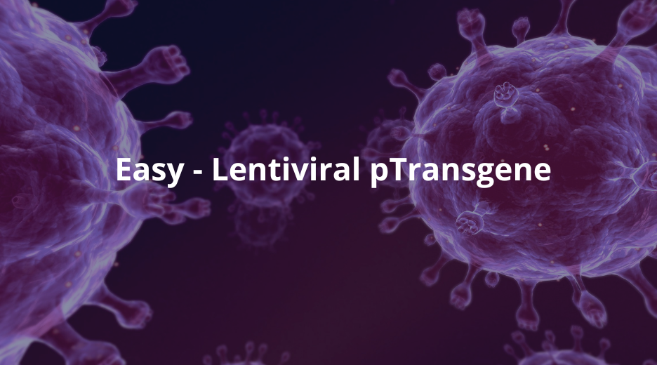 Easy – Lentiviral pTransgene