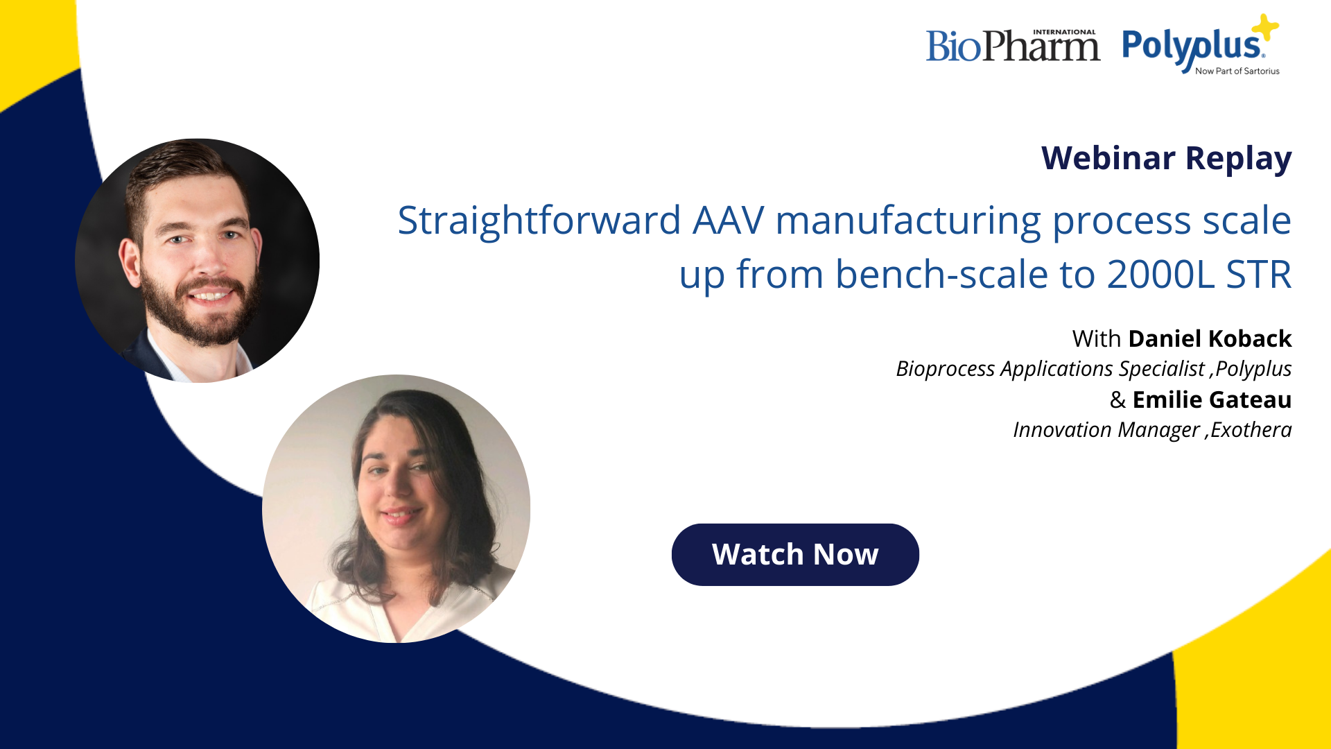 Webinar Replay : Straightforward AAV manufacturing process scale up from bench-scale to 2000L STR